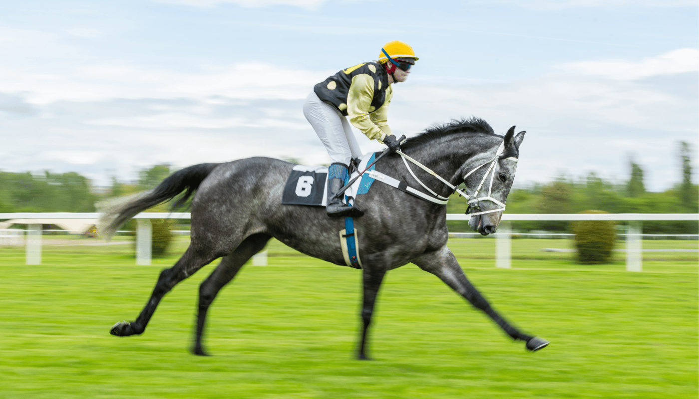 Secrets Dévoilés : Comment Gagner aux Course de Chevaux Facilement