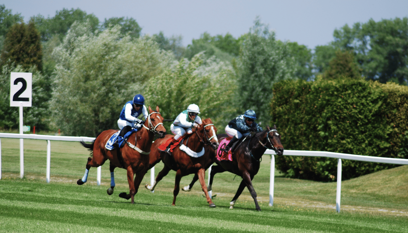 Comment devenir commissaire de course de chevaux: Guide complet